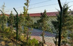 Tel Çit Ürünleri